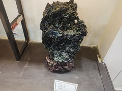 -游龙石文化科普馆