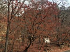 -丹东天桥沟景区