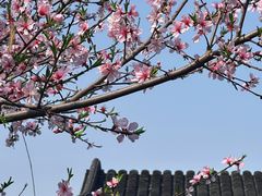-莫愁湖公园