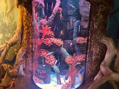 -沈阳海洋探索中心