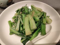 迟菜心-金苑海鲜酒家(来魅力店)