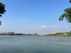 -立新湖公园