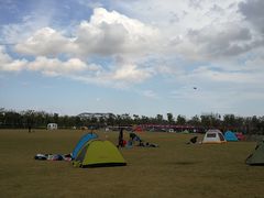 -春花秋色城市公园