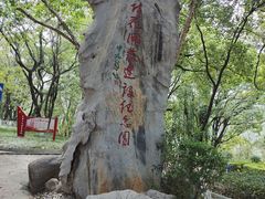 -攀枝花公园