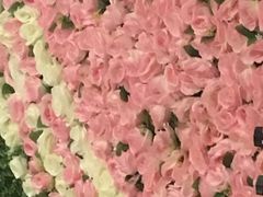 -王顺山国家森林公园