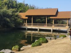 -杭州植物园