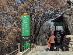 -栾川竹海野生动物园