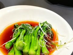 -曼格纳·曼芯馆(杨浦店)