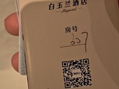 -白玉兰商务酒店(沈阳陆军总院店)