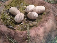 -湖南省地质博物馆