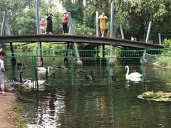 -长白岛森林公园