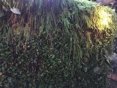 -外婆家(杭州马塍店·杭帮菜名店)