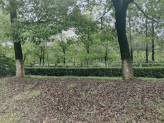 -白塘生态植物园