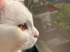 -宠颐生宠物医院·骨外科·犬猫全科诊疗中心(池州店)