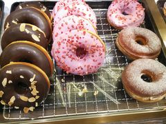 -多乐之日(富力城店)