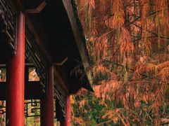 -重庆彩云湖湿地公园