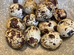 -锦粤宫·精致粤菜(阳西店)