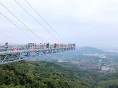 -呀诺达热带雨林
