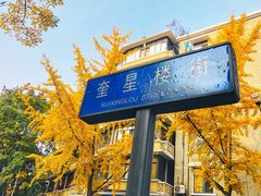 -奎星楼街