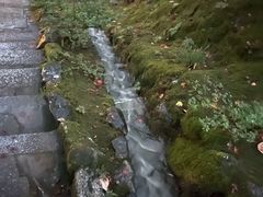 -常寂光寺