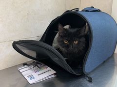 -酷宠动物医院(天通西苑店)