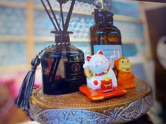 -素匠泰茶(三里屯SOHO工体奶茶店)