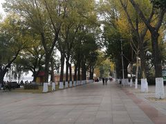 -人民防洪胜利纪念塔