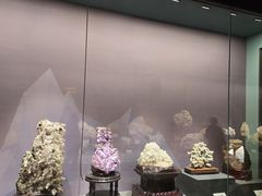 -湖南省地质博物馆