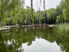 -玲珑塔公园