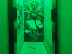 -MOJO密室逃脱(中街旗舰店)