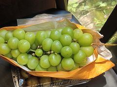 -野蔓果·山野菜(西湖景区·龙井茶田店)