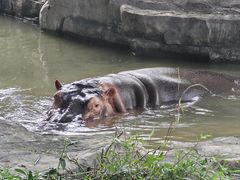 -上海野生动物园