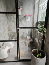 -英刺青 纹身 洗纹身