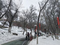 -水磨沟公园