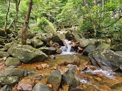 -姑婆山旅游区