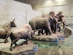 -大庆市博物馆