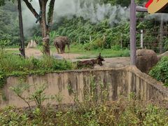 -宁波野生动物园