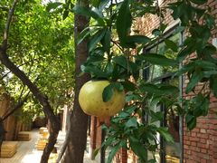 -boundaries籬苑(瑞光创意工厂-贰号院店)