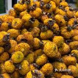 贵州刺梨vc满满