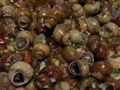 上汤丝螺-呼吸森林·生态农庄农家乐私房菜