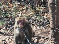 -南京金牛湖风景区