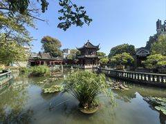 -碧江金楼
