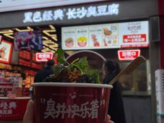 -黑色经典臭豆腐·湖南特产(坡子街特产局店)