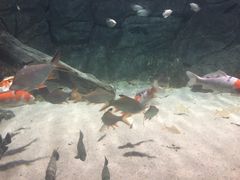 -常州海昌海洋探索馆