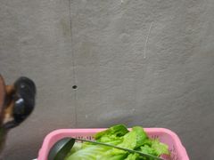 -威邵鸡煲(西华路总店)