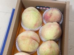 -老袁家蜜桃农场·阳山水蜜桃