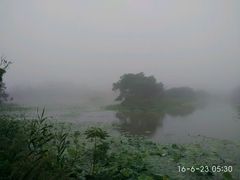 -日照海滨国家森林公园