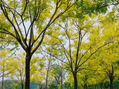 -东郊湿地公园