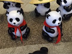 熊猫展-长影旧址博物馆