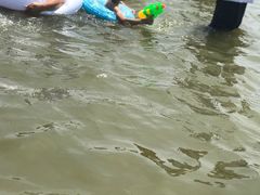 -碧海金沙